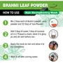 Forest Herbs 100% Natural Organic Brahmi Powder For Hair Growth - 100 Grams, 5 image