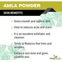 Forest Herbs 100% Natural Organic Amla Indian Gooseberry Powder For Hair Growth - 100Gms, 6 image