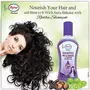 Ayur Herbal Amla and Shikakai Shampoo 1000ml, 2 image