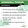Forest Herbs 100% Natural Organic Bhringraj Powder For Hair Growth - 100Gms, 3 image
