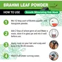 Forest Herbs 100% Natural Organic Brahmi Powder For Hair Growth - 100 Grams, 6 image