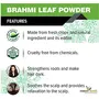 Forest Herbs 100% Natural Organic Brahmi Powder For Hair Growth - 100 Grams, 2 image