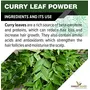 The Forest Herbs Natural Care From Nature 100% Organic Curry Leaves Powder (Sun Dried & Stemless) for Strong and Shiny Hair 100Gms, 4 image