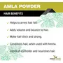 The Forest Herbs Natural Care From Nature Organic Amla Bhringraj Hibiscus Powder Each 100Gms, 5 image
