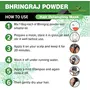 Forest Herbs 100% Natural Organic Bhringraj Powder For Hair Growth - 100Gms, 4 image