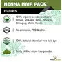 The Forest Herbs Natural Care From Nature Henna Mix Powder With Amla Shikakai Hibiscus Bhringraj Neem Methi Powder For Hair Colour & Conditioning (100 g (Pack of 1)), 2 image