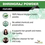 Forest Herbs 100% Natural Organic Bhringraj Powder For Hair Growth - 100Gms, 2 image