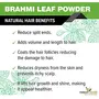 Forest Herbs 100% Natural Organic Brahmi Powder For Hair Growth - 100 Grams, 3 image