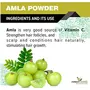 Forest Herbs 100% Natural Organic Amla Indian Gooseberry Powder For Hair Growth - 100Gms, 4 image