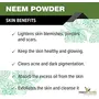 The Forest Herbs Natural Care From Nature Organic Pure & Natural Neem Leaves Powder (Sun Dried & Stemless - Pack 100GMS), 6 image