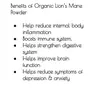 Organic Lion's Mane Mushroom Extract Powder (50g) (Raw USDA Organic Certified no additives no fillers), 5 image