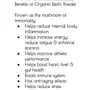 Organic Reishi Mushroom Extract Powder (50g) (Raw USDA Organic Certified no additives no fillers), 5 image