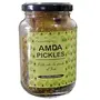 CACTUS SPICES Homemade Amra/Amda Pickle 400g