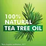 Liril Lemon and Tea Tree Oil Body Wash 250ml, 5 image