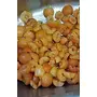 Cactus Spices Homemade Behi Murabba (Safarjal Murabba) (Quince Murabba) with Neem Honey 450g, 3 image