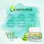 Rajah Ayurveda Aloe Vera Gel | For All Skin & Hair Types | Multi-purpose Aloe Vera gel | 100% Vegan | 100% Fragrance Free | 100 gm, 3 image