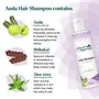 Kulsum's Kaya Kalp Herbals Amla Shampoo Daily Hair Care For Thick & Strong Hair (100ml), 4 image