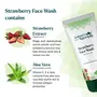 Kulsum's Kaya Kalp Herbals Strawberry Face Wash 100ml, 4 image