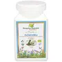 Narayani Naturals Certified Organic Gokhru Powder (200 gms)