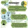 Indiana Organic Dry Rosemary Herb Seasoning for Culinary Use 45 Gm, 5 image