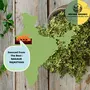 Indiana Organic Kasuri Methi Dry Fenugreek Leaves Kasoori Methi Rajasthan Fresh Harvest - 50 Gram, 6 image