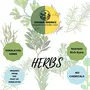 Indiana Organic Dry Rosemary Herb Seasoning for Culinary Use 45 Gm, 3 image
