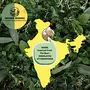 Indiana Organic Peppermint Whole Dry Leaves Organic Himalayan Herbs for Culinary & Tea Use 25 Gm, 6 image