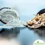 Shudh Online Safed Musli Root Powder White Musli Swet Musli (50 Grams) Chlorophytum Borivilianum (Strength Performance and Virality), 2 image