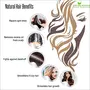 Organic Reetha Powder Kunkudukai powder Aritha Ritha Soapnut (500 Grams) for Hair Growth Hair wash Scalp treatment Skin care, 3 image