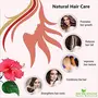 Shudh Online Organic Hibiscus Powder for Hair Growth (200 Grams) Face Pack Eating (Gudhal ka Phool Mandaram Gongura Mandaram Arhul), 3 image