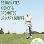 Shudh Online Punarnava root powder Boerhavia Diffusa (200 grams) - Urinary Wellness Kidney Rejuvenation Good Gut Health and Healthy Appetite, 3 image