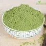 Shudh Online Wheat Grass Powder Organic Wheatgrass Juice powder (200 Grams) - Rich in Chlorophyll Detox Plant Protein Natural superfood No sugar, 2 image
