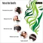 Organic Bhringraj Powder for Hair Growth Skin and Eating (500 Grams) - 100% natural Eclipta alba Bringraj Powder Bhringrajasava Bringaraja, 3 image