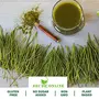 Shudh Online Wheat Grass Powder Organic Wheatgrass Juice powder (200 Grams) - Rich in Chlorophyll Detox Plant Protein Natural superfood No sugar, 3 image