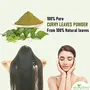 Shudh Online Organic Curry Leaves Powder for Hair Growth (100 Grams) Eating Food Skin Brightening (Fresh Kari Patta Leaf Karuveppilai powder), 2 image