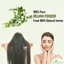 Organic Brahmi Powder / Bacopa Monnieri for Hair Growth (500 Grams) Eating Kids (Bramini / Brahmi / Bhrami / Bharmi), 2 image