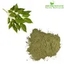 Shudh Online Shisham Leaves dry powder Sheesham leaves (250 Grams) Sheesham Sisam Sissoo powder Dalbergia Sissoo, 3 image