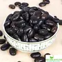 Shudh Online Black Kaunch Beej/Mucuna Pruriens (250 grams), 4 image