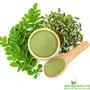Shudh Online Moringa Leaves Powder Organic Murungai Leaf powder (500 Grams) Munagaku Muringayila Moringo Morigana Muringa for hair growth weight loss face tea, 3 image