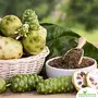 Shudh Online Noni Fruit Powder 500g [Immunity Morinda citrifolia], 4 image