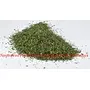NeutraVed Parsley Dried Leaves/Herb /Tea/Leaves for Seasoning Stuffing and Cooking with No preservatives and additives - 30Gm, 2 image