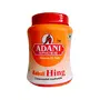 Adani Spices Kabuli Hing (Asafoetida) 100