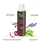 Mother Sparsh Onion Hair Kit for Healthy Hair (Onion Hair Oil + Onion Rasa + Shampoo+ Conditioner), 2 image