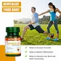 SUNOVA Curcumin-500 Traditional Immune Support Capsules Pure and Herbal Supplement with Curcumin Extract 95% and Piperine Extract 95% for Men and Women 60 Veg Capsules, 5 image
