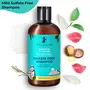 Pilgrim Mild Sulphate Free Shampoo (Argan Oil) For Dry Frizzy Hair Men and Women No Sulphate No Paraben Korean Beauty Secrets (Shampoo), 3 image