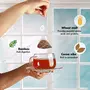 TeaTreasure Rooibos Cocoa Red Tea - Caffeine Free Antioxidants Rich South African Tea - 1 Teabox ( 18 Pyramid Tea Bags ), 4 image