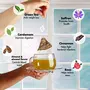 Tea Treasure Kahwa Green Tea Antioxidants Rich Desi Kahwa Detox Pyramid Tea Bags 18 Count, 4 image