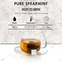 Tea Treasure Spearmint Herbal Infusion Antioxidants Rich Refreshing Tea 18 Pyramid Bags, 4 image