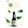 Truly Essential Ginger oil 15 ml, 6 image