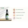 Truly Essential 100% Pure & Natural Basil Oil 15 ml, 7 image